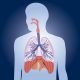 Η εισαγωγή βελόνας στο βελονιστικό σημείο Πνεύμονας P7 έχει θετικά αποτελέσματα στην αντιμετώπιση χρόνιων ασθενειών πνευμόνων και αναπνευστικού συστήματος.