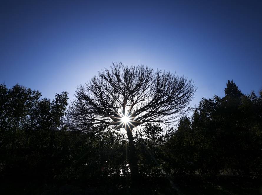 Ιατρικός βελονισμός για IBS: μειώνει πόνο, φούσκωμα, διαταραχές κένωσης και άγχος. Ασφαλής, συμπληρωματική αγωγή στο ιατρείο μας στη Θεσσαλονίκη.