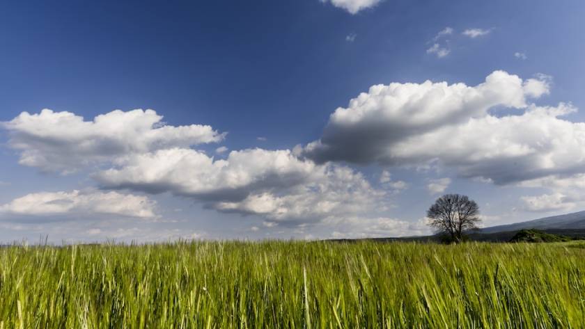 Ιατρικός Βελονισμός για Νέους: Άγχος & Πόνος | Θεσσαλονίκη