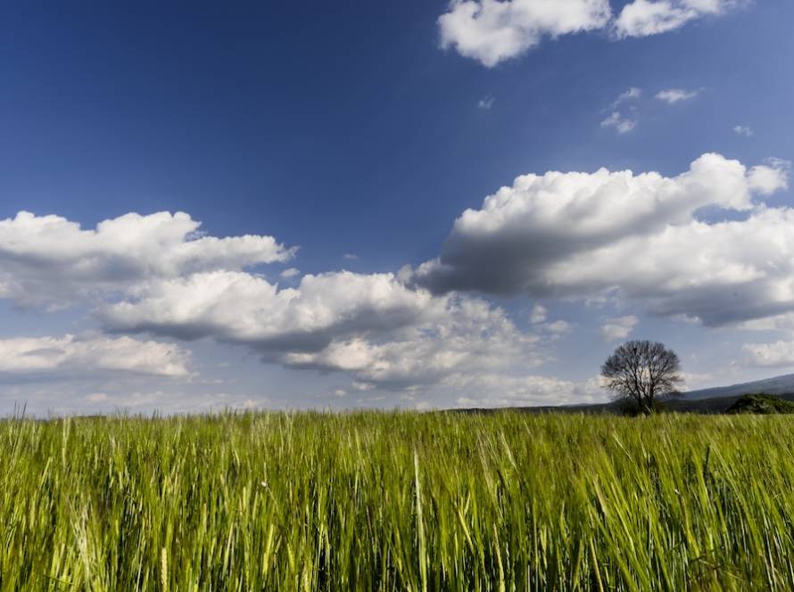 Ιατρικός Βελονισμός για Νέους: Άγχος & Πόνος | Θεσσαλονίκη