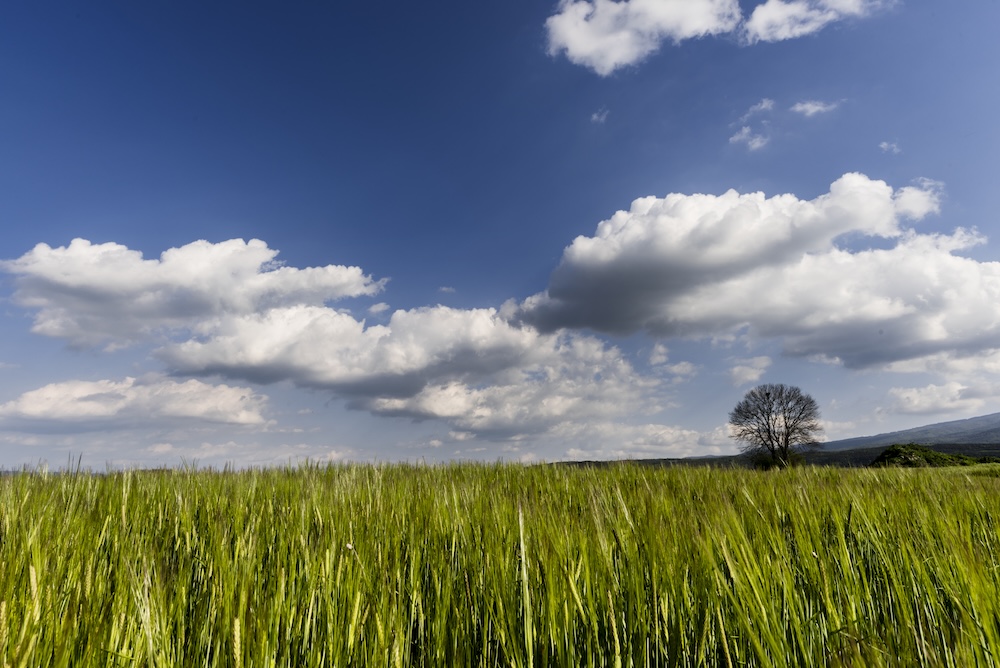 Ιατρικός Βελονισμός για Νέους: Άγχος & Πόνος | Θεσσαλονίκη
